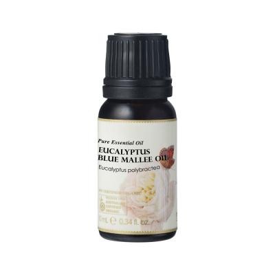 Ausganica Organic Essential Oil Eucalyptus Blue Mallee 10ml